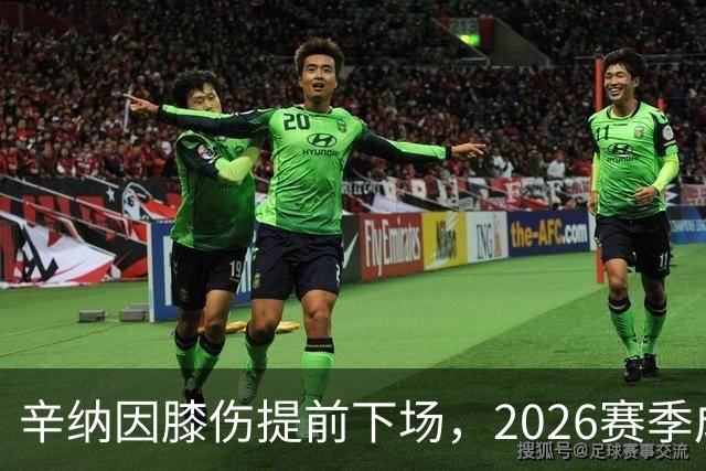 辛纳因膝伤提前下场，2026赛季成了“观众
